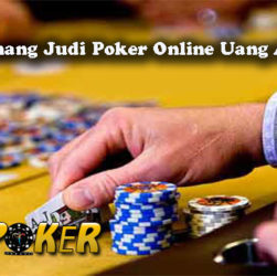 Peluang Menang Judi Poker Online Uang Asli Terbaik
